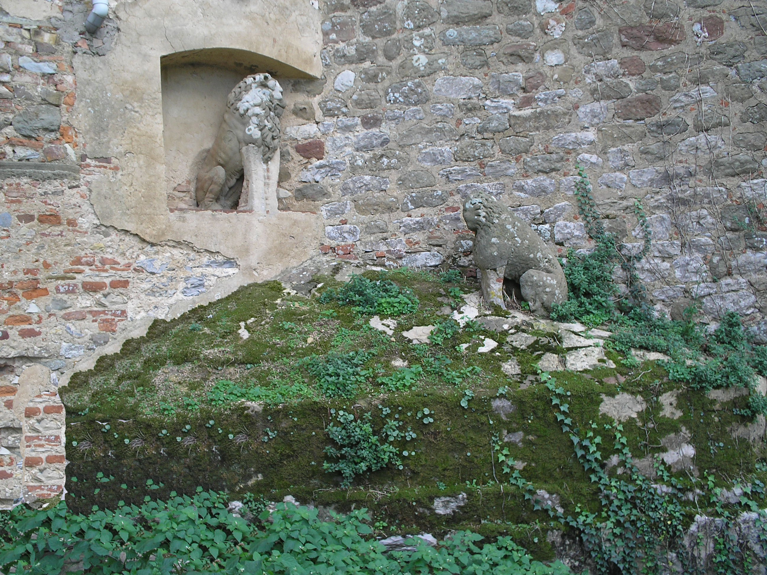 I due marzocchi di Vinacciano